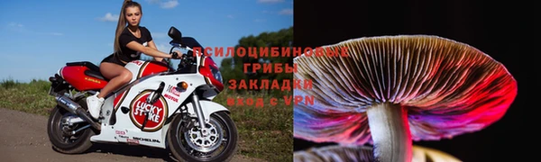 прущая мука Заводоуковск