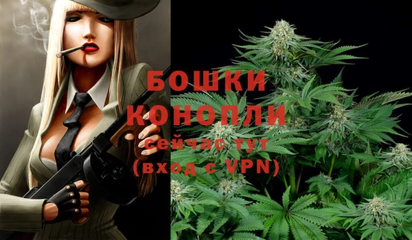 молекула духа Заволжск