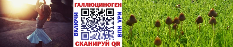 Псилоцибиновые грибы MAGIC MUSHROOMS Дзержинский