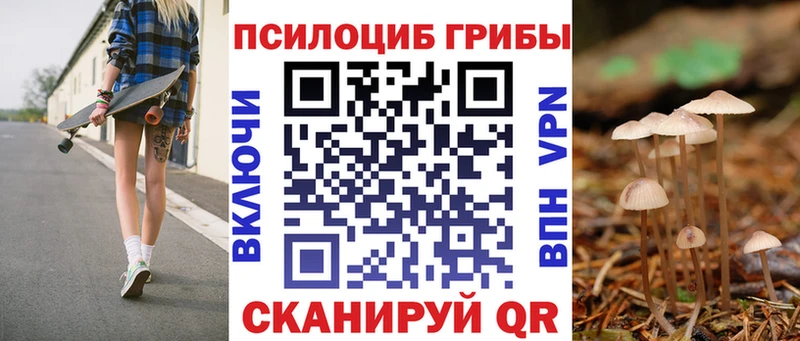 Купить закладки  Дзержинский  Галлюциногенные грибы Magic Shrooms 